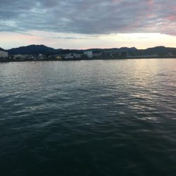 中型アジ4匹、コアジ35匹、メッキ、チャリコ