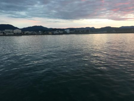 中型アジ4匹、コアジ35匹、メッキ、チャリコ