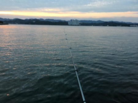 コアジ180匹、中型アジ35匹、コノシロ3匹、ボラ1匹