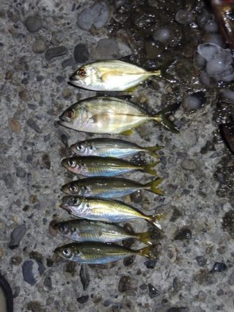 エビ撒きの5目釣り 最後に本命