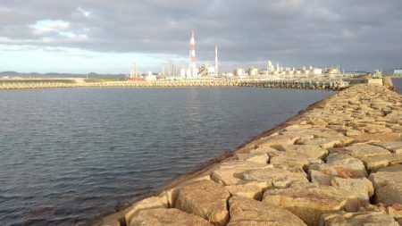 今年はいいサイズ