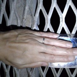 ドラゴン出ました！タチウオ釣行