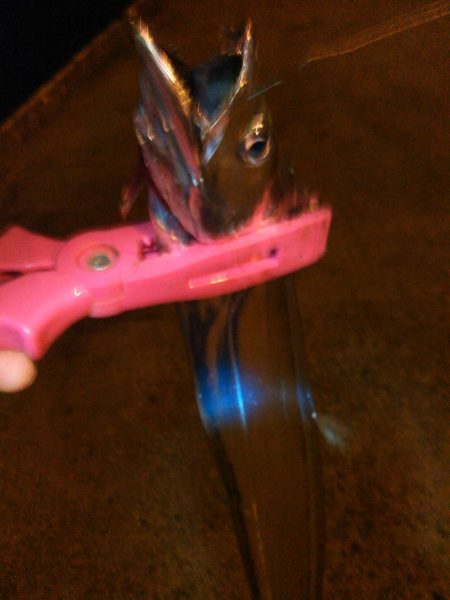 アジング、タチウオ