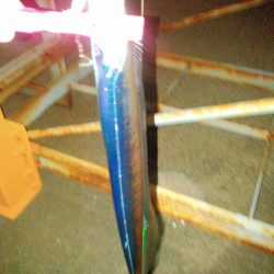 タチウオテンヤ