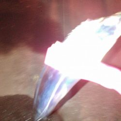 タチウオテンヤ