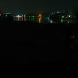 アジング、タチウオ