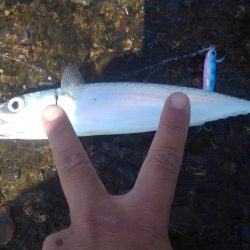 もう浮気はしませんm(._.)m