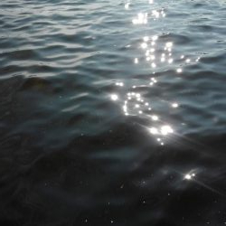 半年振りの魚の引き！