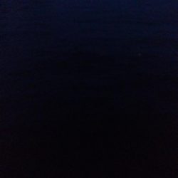 尺には届かんか…