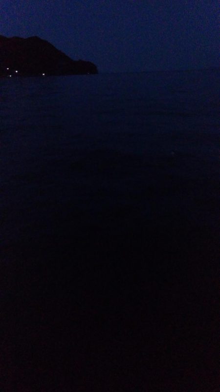 尺には届かんか…