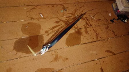 タチウオワインド☆