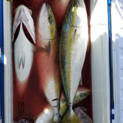 遊漁船 ニライカナイ 釣果