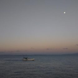 ハマチだらけ　　入れ食い