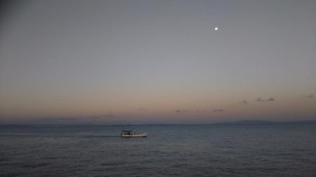 ハマチだらけ　　入れ食い