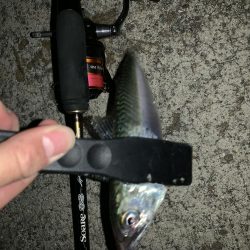 アーバンサイドアジング