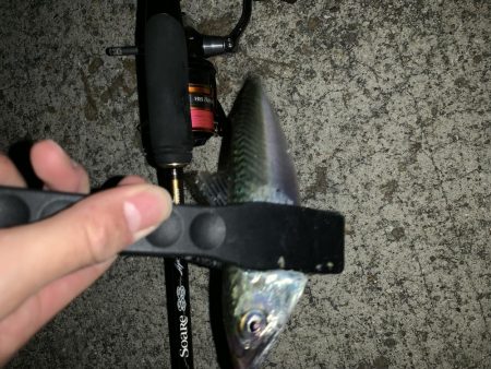 アーバンサイドアジング