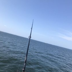 久しぶりの渡船