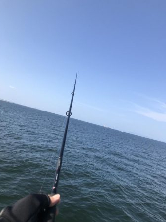 久しぶりの渡船