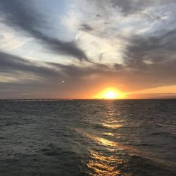 人工島で夕まずめ