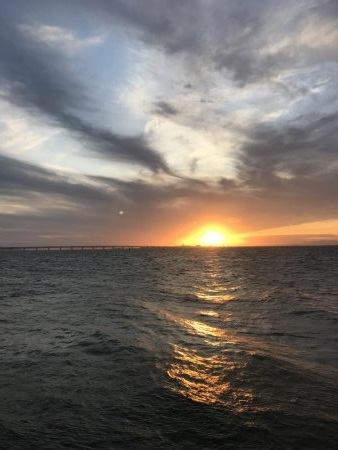 人工島で夕まずめ