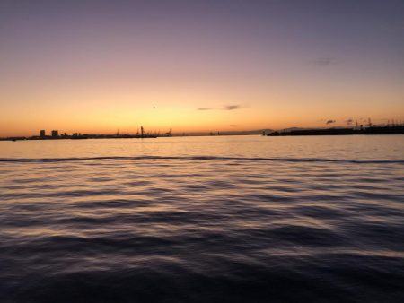 サバかと思ったらアジ！