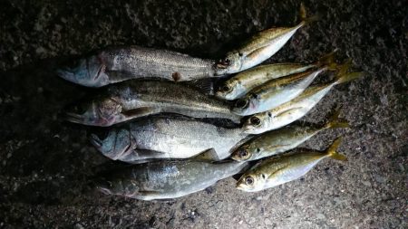 アジが渋いような気がする