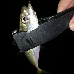 アーバンサイドアジング