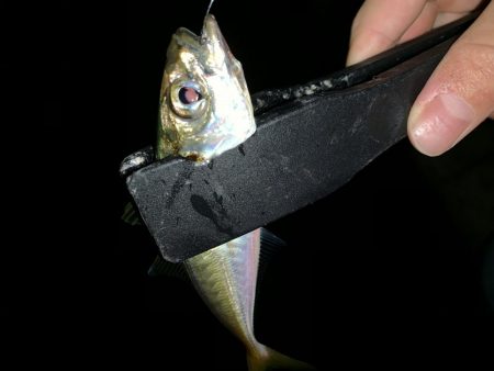 アーバンサイドアジング