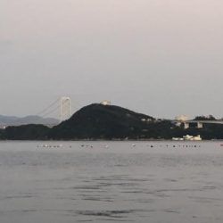 青物バラしまくった泣