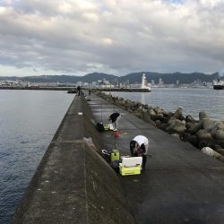 和田坊しか行けなくて