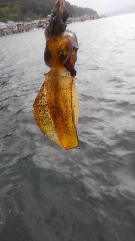 新しい相棒に墨つけ~⤴