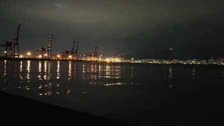 ハマチ　太刀魚