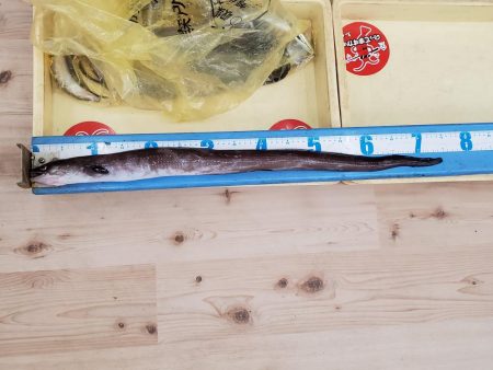 アナゴのフェスティバル