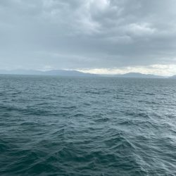 過去最高の・・・