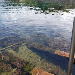 SUPフィッシング