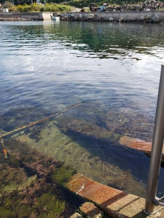 SUPフィッシング