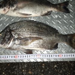 強風で海が大荒れ