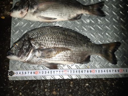 強風で海が大荒れ