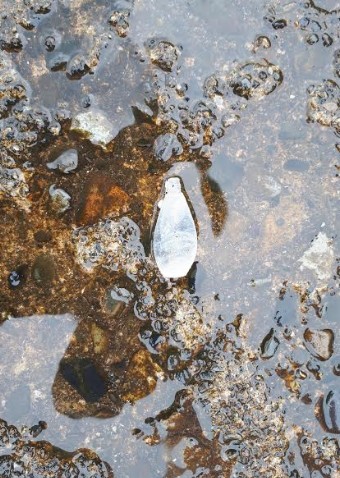 潮とまり、、、、かなあ。グレもタイも無し（涙）