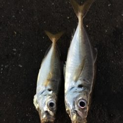 爆風に心折れました