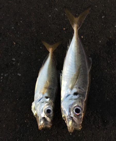 爆風に心折れました