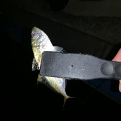 アーバンサイドアジング