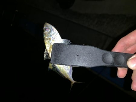 アーバンサイドアジング