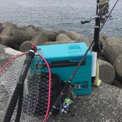 エソ番長復活‼️