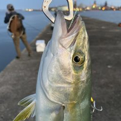 久々ショアジギ