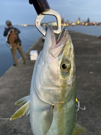 久々ショアジギ