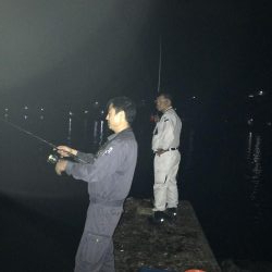 大きくなってきた