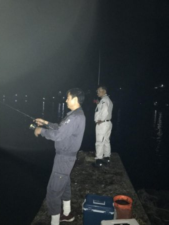 大きくなってきた