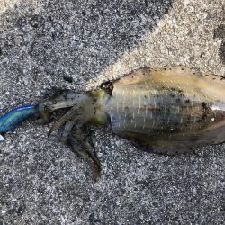 島根県のはずが…