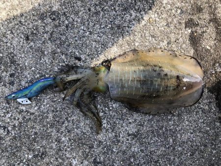 島根県のはずが…